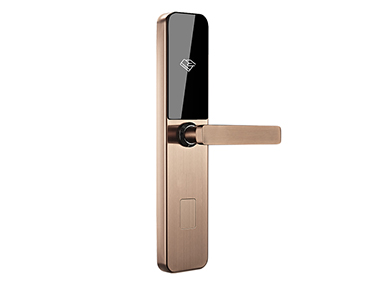 RF875防盗门刷卡锁